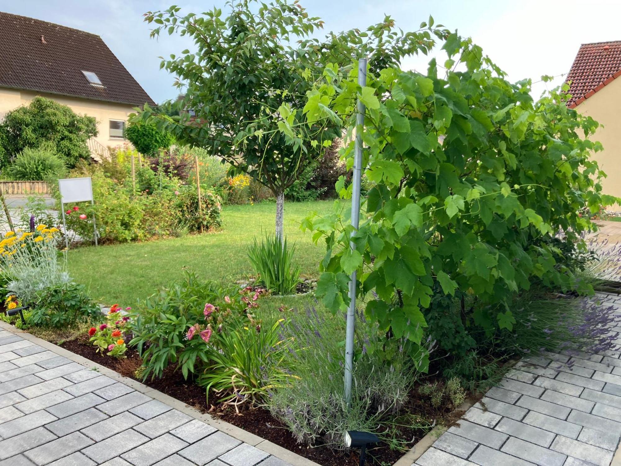 Ferienhaus Koch Bad Staffelstein Zewnętrze zdjęcie